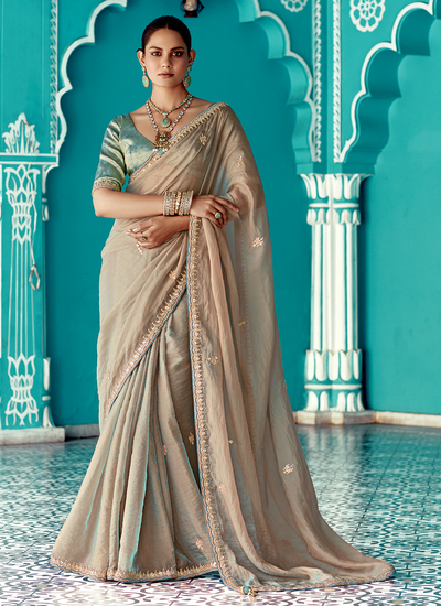 Beige Dual Tone Glass Tissue Sequins Embroidered Border Wedding Wear Saree